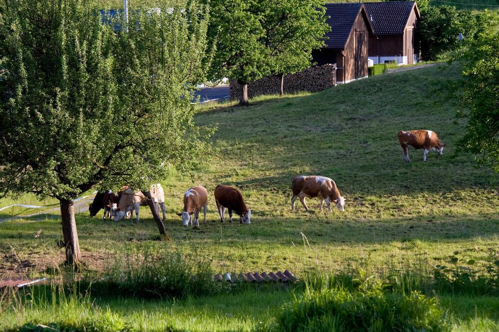 Hotel Seehotel Boutique Jaegerhof-hubertus Faulensee